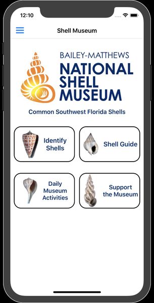 National Shell Museum launches shell identification app  News, Sports,  Jobs - SANIBEL-CAPTIVA - Island Reporter, Islander and Current